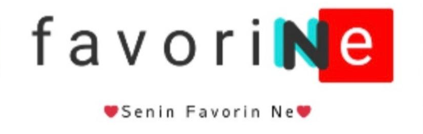 Favorinne E-Ticaret A.Ş
