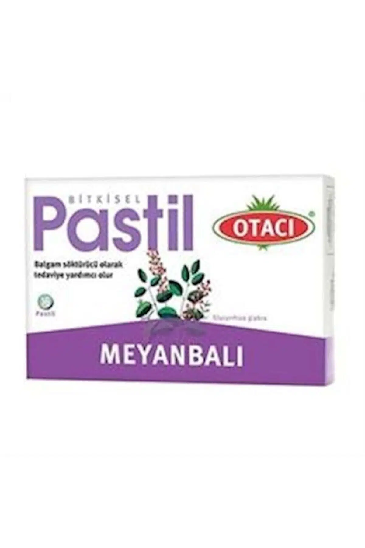 Otacı Pastil Meyan Balı 16'lı ( 1 ADET )