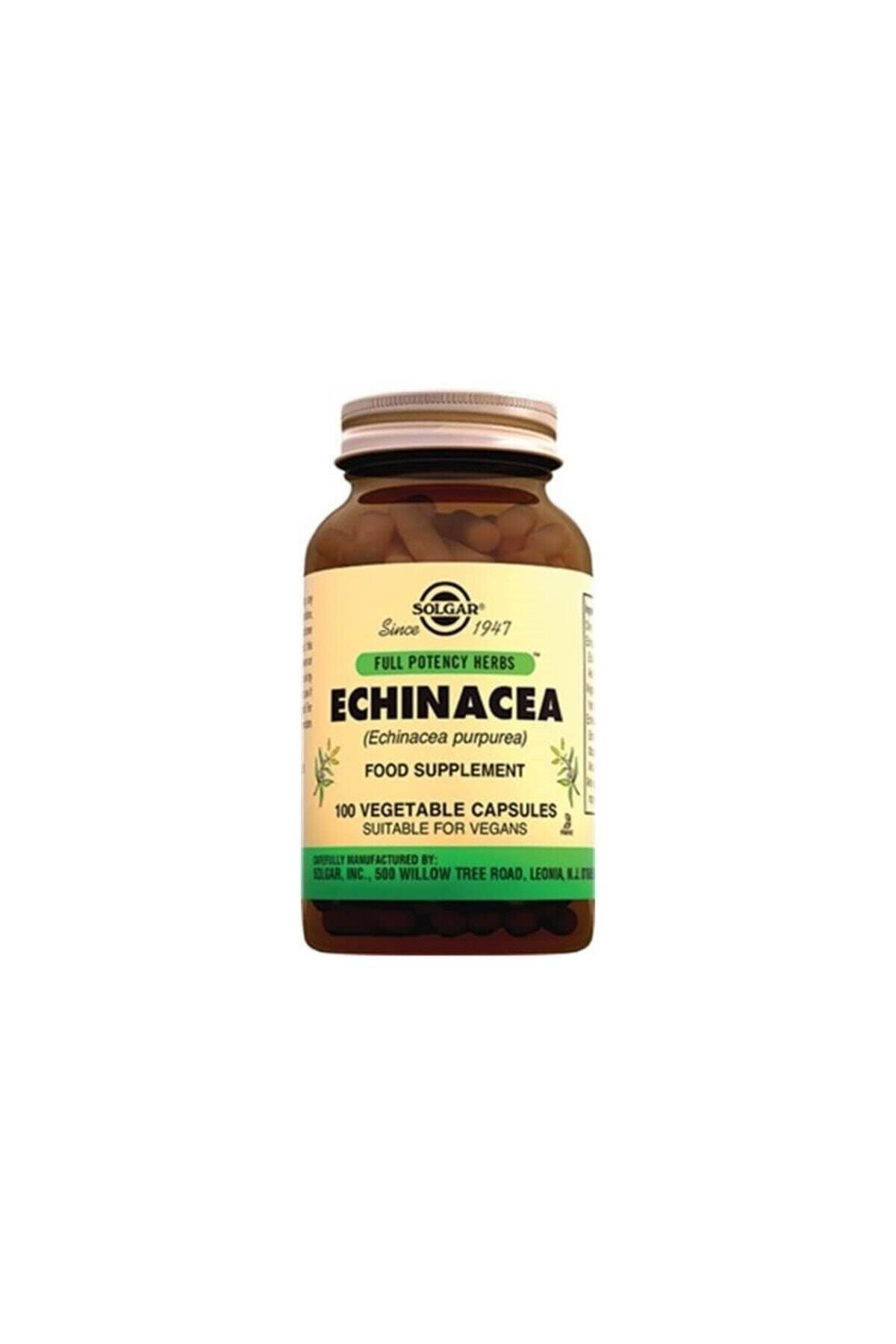 Solgar Echinacea 100 Kapsül Vitamin